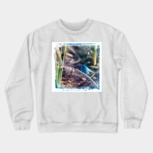 Indigo Bunting in the Spring Crewneck Sweatshirt